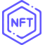 Fractional and Dynamic NFTs