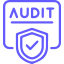 Security Audits and Assessments